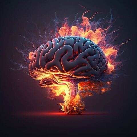 brain pic